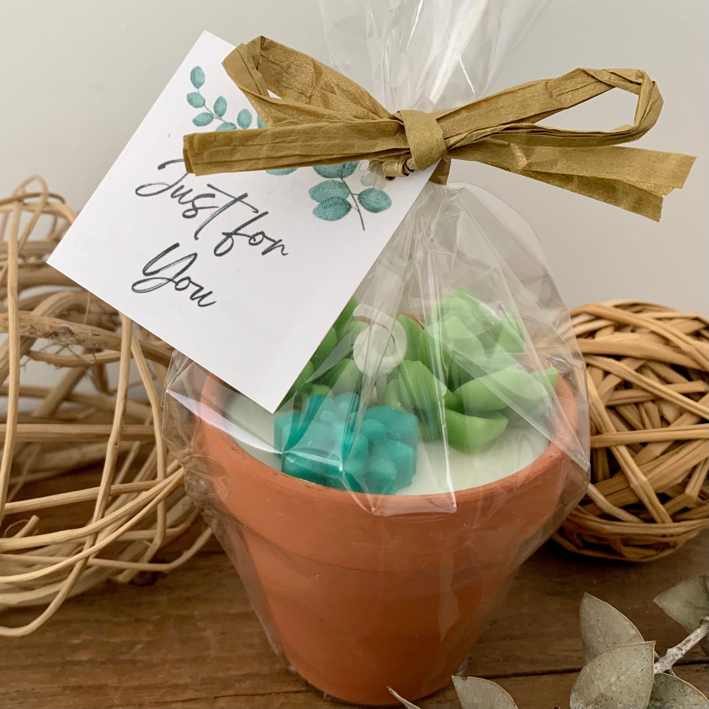 Potted Succulent Candle