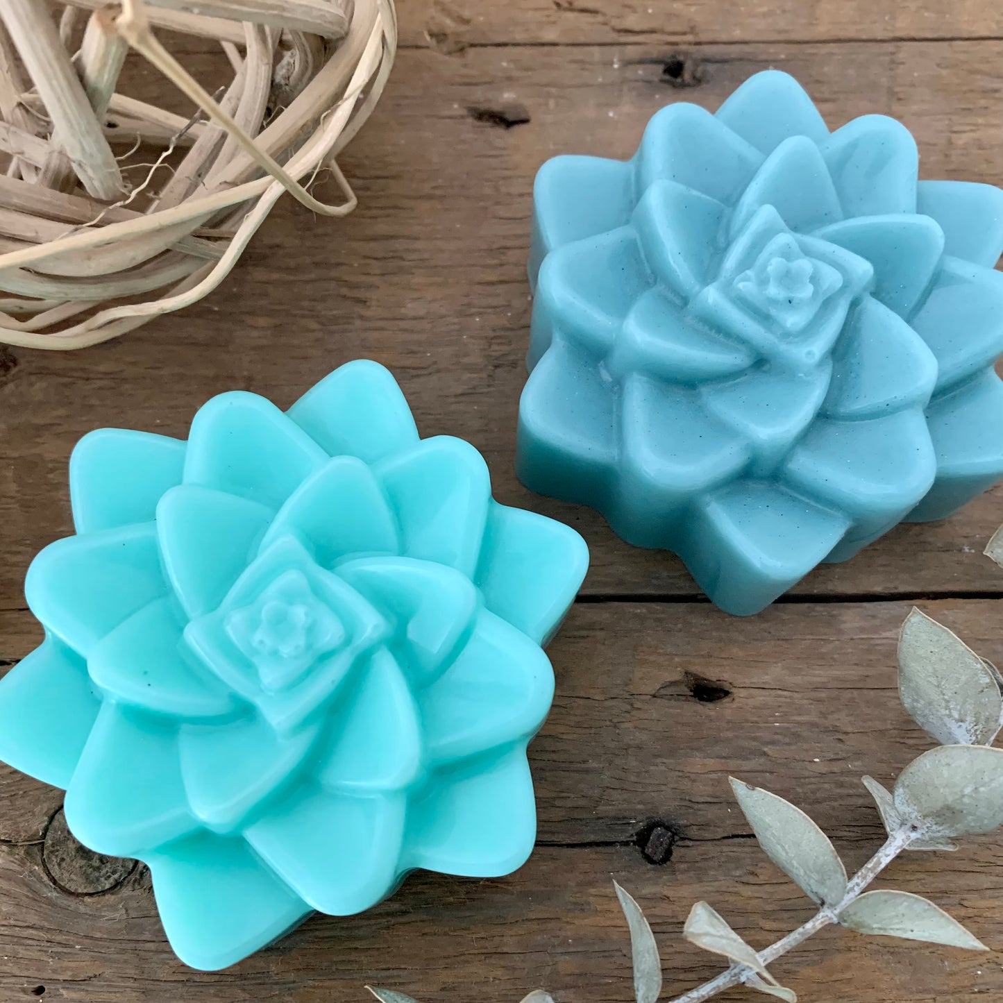 Succulent Soap Favor