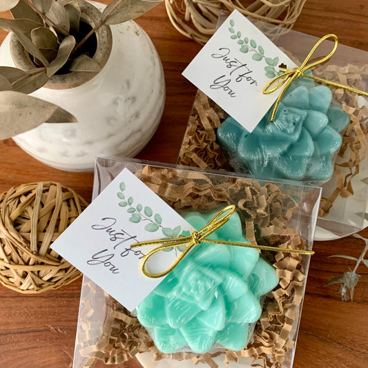 Succulent Soap Favor