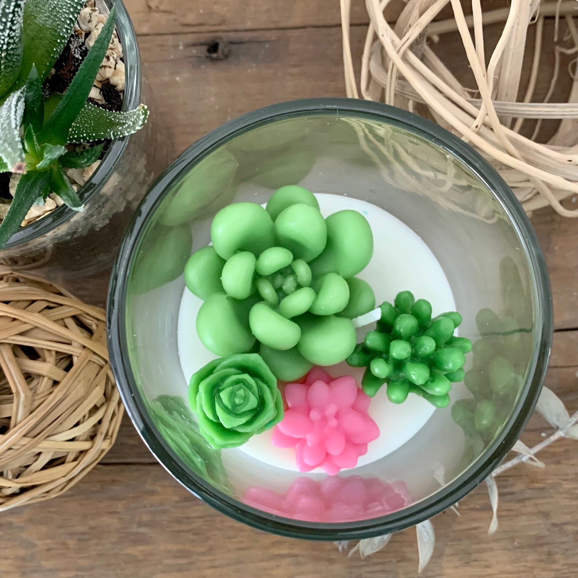 succulent terrarium candle Inner Peace Terrarium Candle – Tub Loves