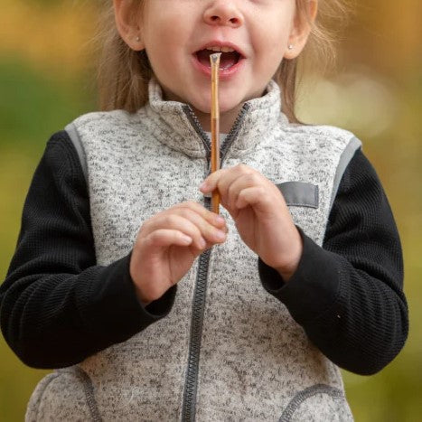 Blackberry Honey Sticks