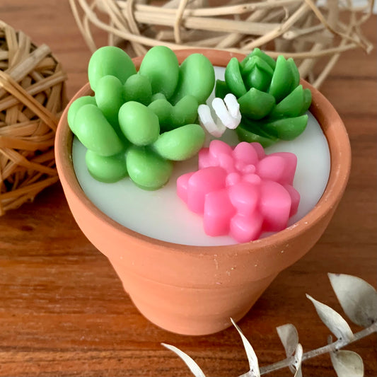 Potted Succulent Candle