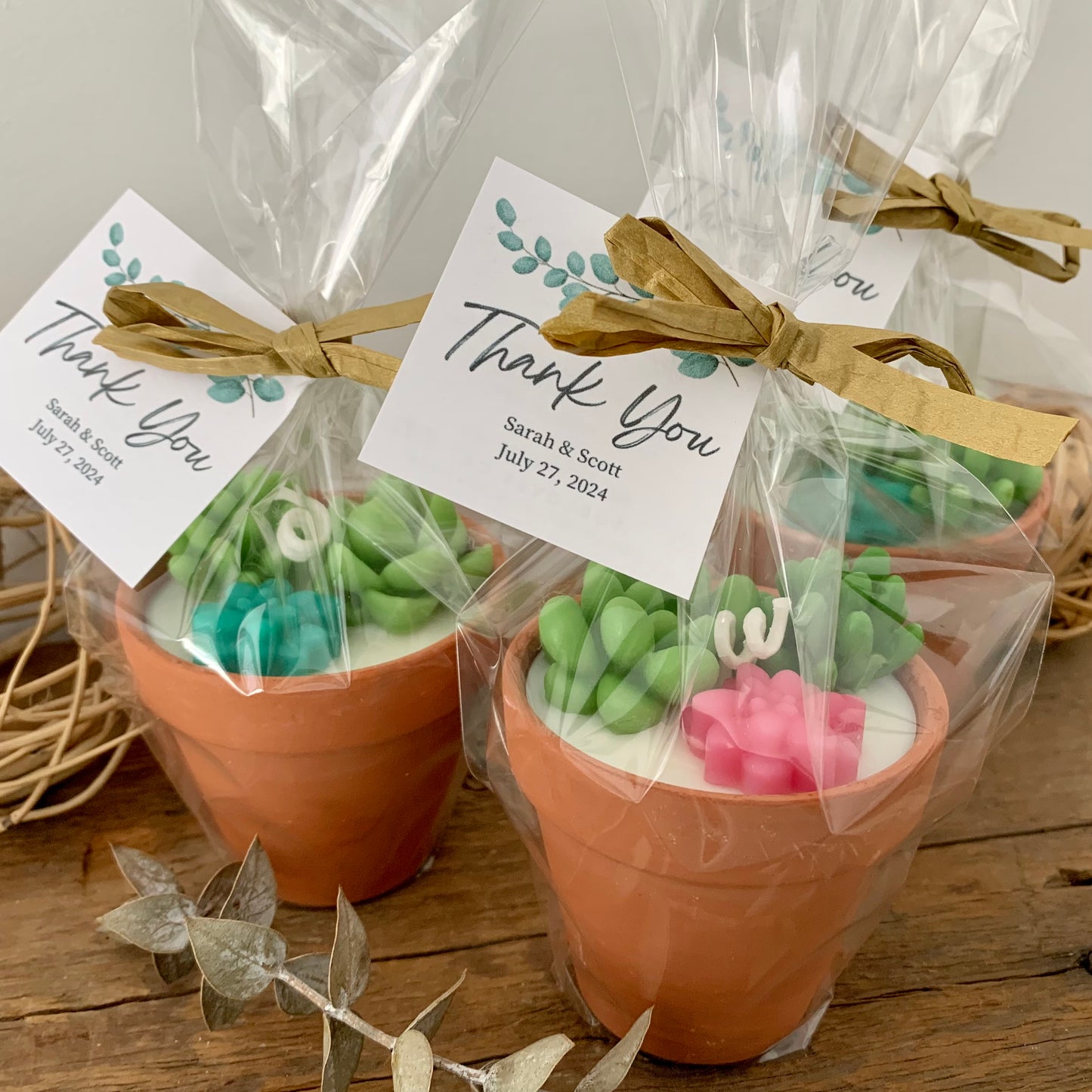 Potted Succulent Candle Favor