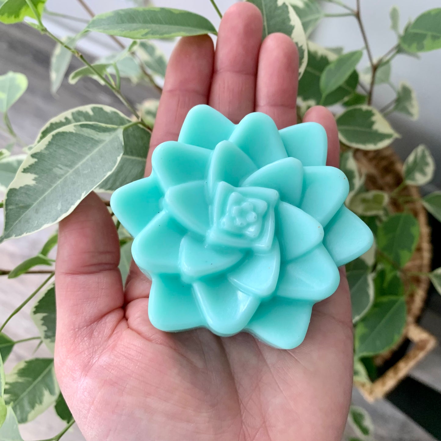 Inner Peace - Goats Milk Succulent Soap Bar