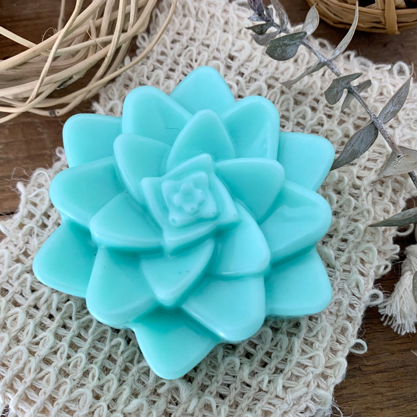 succulent soap Inner Peace